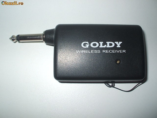 Goldy receiver wireless foto mare