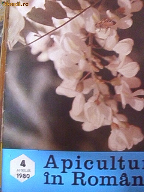 APICULTURA IN ROMANIA -APRILIE 1980 foto mare