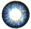 Vand lentile de contact...SUPER PRET