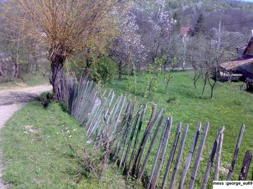 Teren la munte,casa de vacanta foto mare