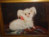 PICTURA