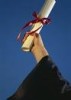 LUCRARE LICENTA DREPT CONSTITUTIONAL