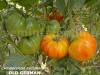 Seminte tomate mari bicolore - OLD GERMAN - 50+ seminte/plic