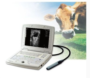 Ecograf Vet SN-5000 photo Ecograf Vet SN-5000