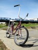 Pegas Modern ,an 1984 productie Tohan ROMANIA
